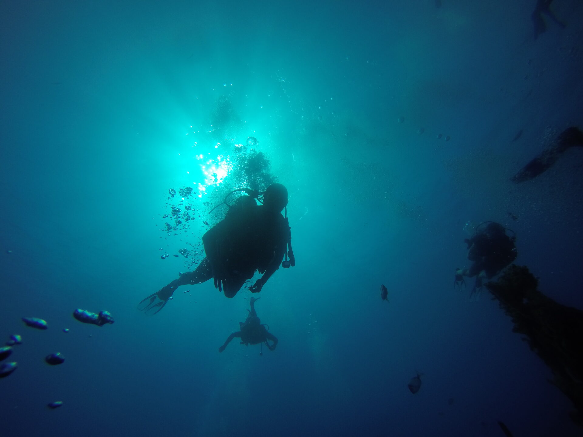 Two divers silhouetted against the sun while ascending in open water